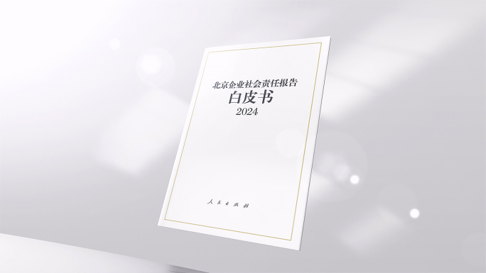 白皮书报告内容展示