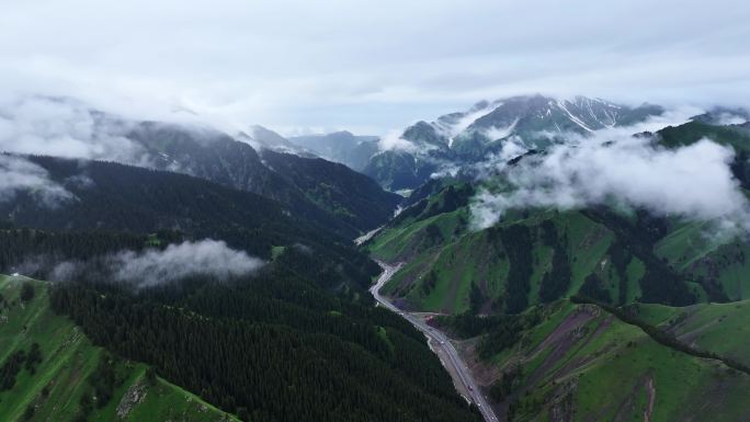 山间森林峡谷云雾缭绕（果子沟）