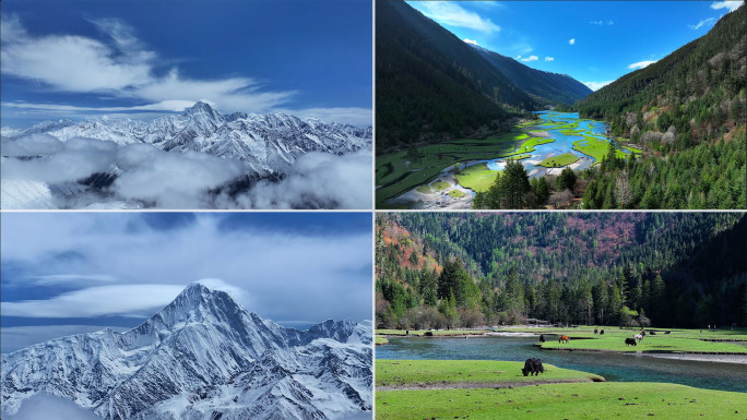 贡嘎雪山 荷花海森林公园