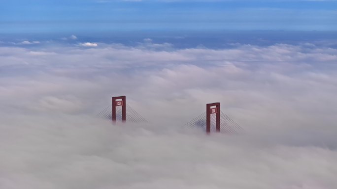 航拍湛江调顺大桥平流雾