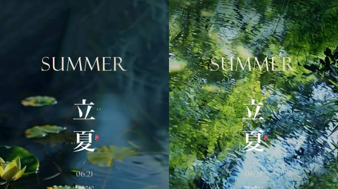 立夏 夏天海报动态模板
