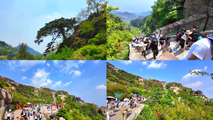 泰山旅游登高五一十一黄金周