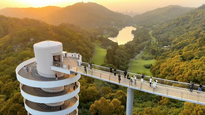 山海步道 空中步道 夕阳相思树