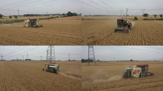 河南麦收收割机航拍素材