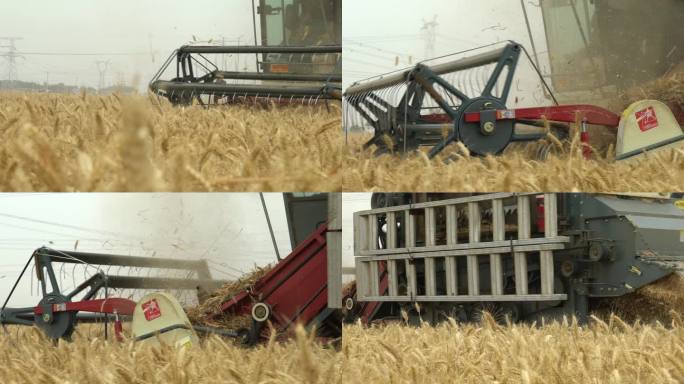 河南麦收收割机素材