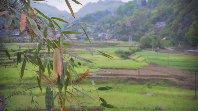 遥望 山的那边 贫困山区 村落