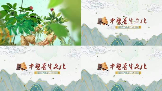 中医中药片头养生栏目宣传片头
