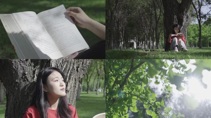 校园青春的气息大学生读书三五好友聊天