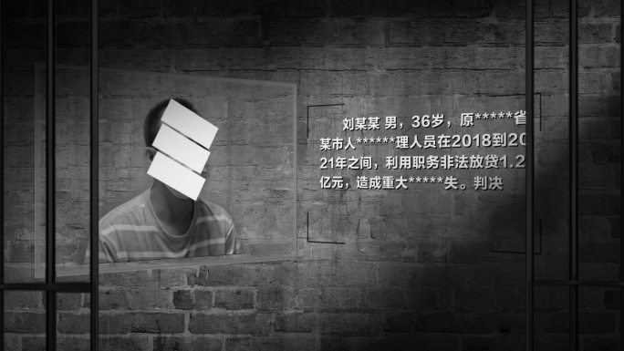 嫌疑人简介