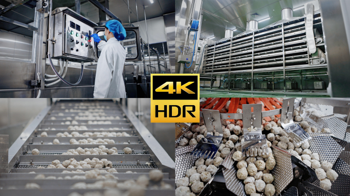 丸子加工生产流程生产线流水线火锅丸子丸滑