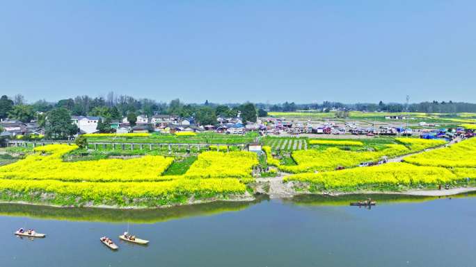 四川邛崃两河口盛开的油菜花和广阔的河流