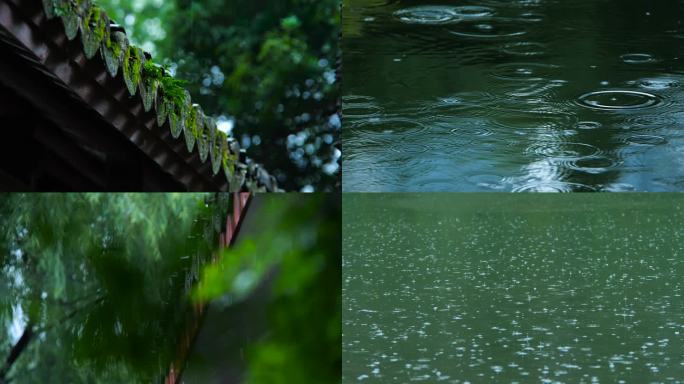 雨天雨滴屋檐公园池塘鲤鱼