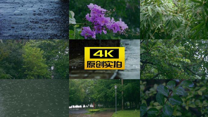 梅雨季节 暴雨 雨季 下雨
