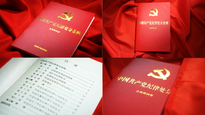 中国共产党纪律处分条例