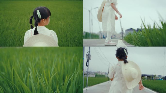 童趣田园节气电影感素材合集