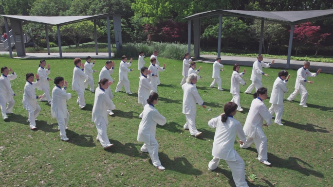 老年人打太极公园晨练老年生活健康长寿