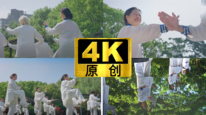 老年人打太极公园晨练老年生活健康长寿