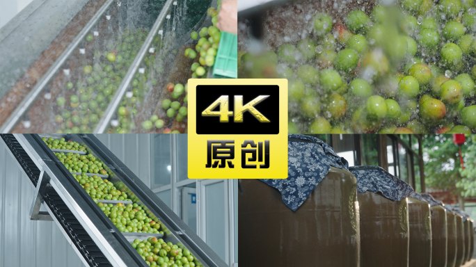 青梅酿造生产线4k实拍空镜头