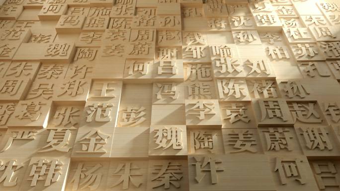 百家姓文字文化墙