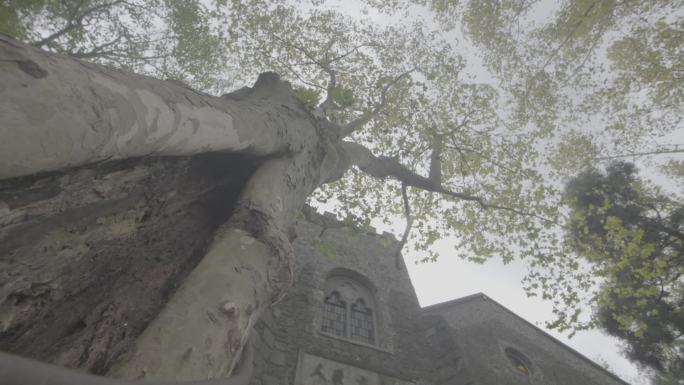 老旧教堂氛围感