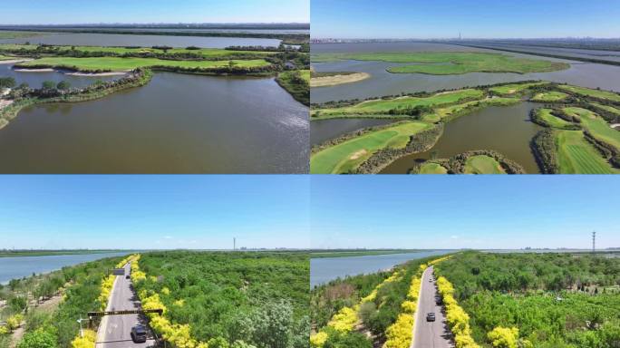 天津生态保护 团泊湖 独流河 湿地保护