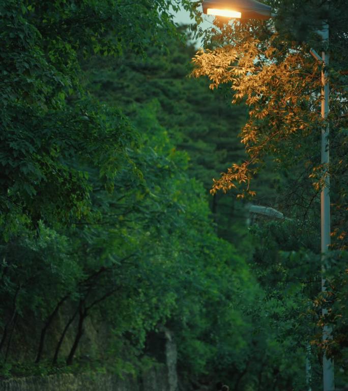 竖屏4K-傍晚山路路灯 短视频情感意境