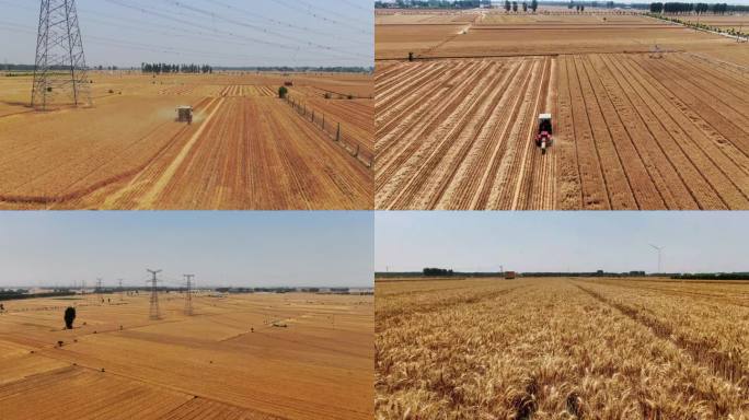 高清4K航拍麦田收割机收割小麦