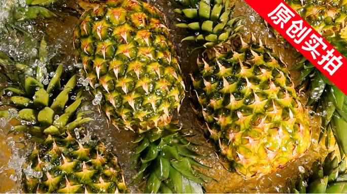 凤梨 菠萝