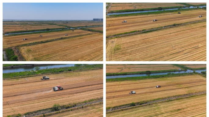 十三组现代化农机收割粮食合集