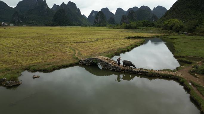 桂林风光 田园乡村 航拍 旅行风景