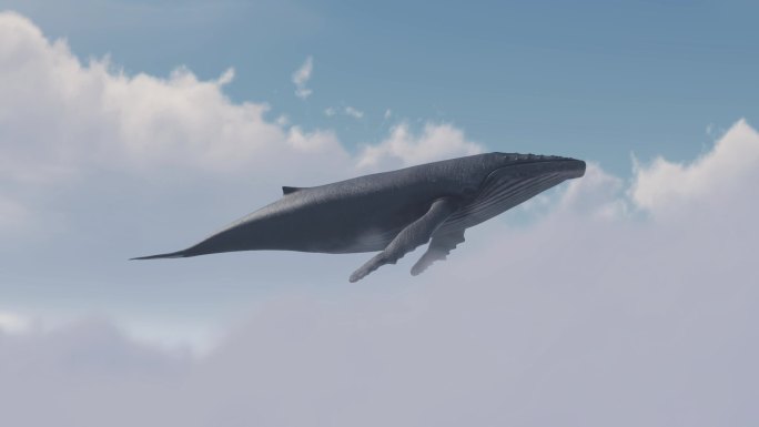 鲸鱼云层扶摇直上