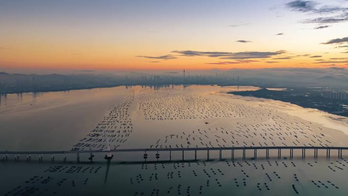 航拍深圳湾大桥清晨延时