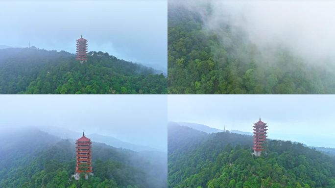 雨后缙云山