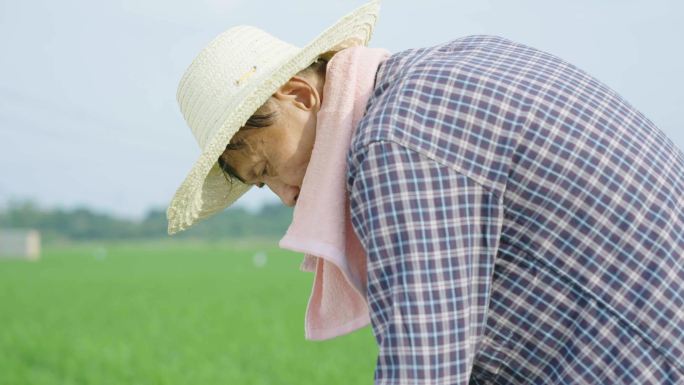 农民农田田野田地劳作种地锄头草帽