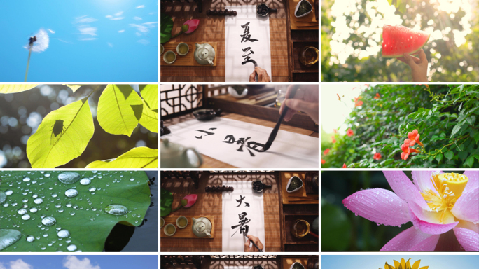 小暑 夏天