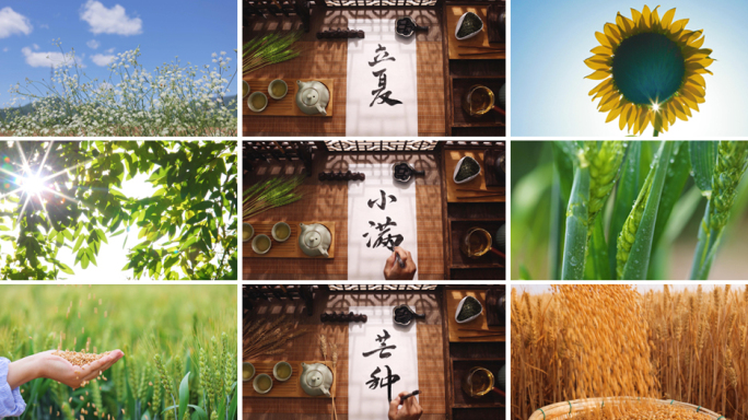 小暑 夏天