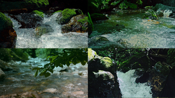 山林山泉小溪溪流河流酿酒瀑布水流水源青苔