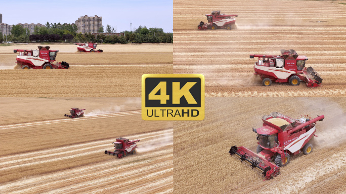 原创航拍麦田丰收小麦收割机