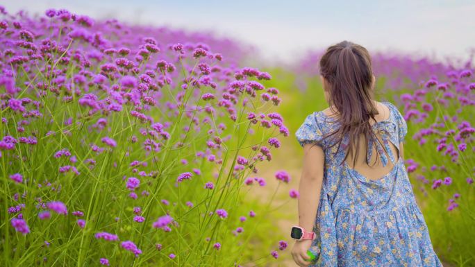 小女孩奔跑游玩紫色花海马鞭草园