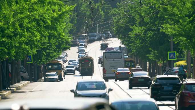 大连201有轨电车4K视频