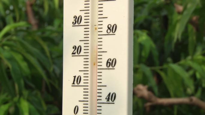 桃园里的温度计湿度计