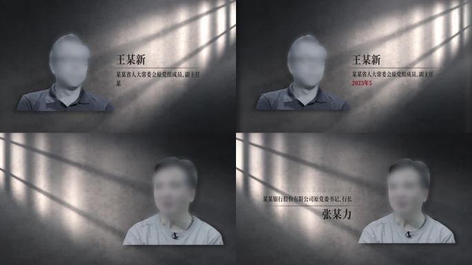 犯罪嫌疑人介绍 04