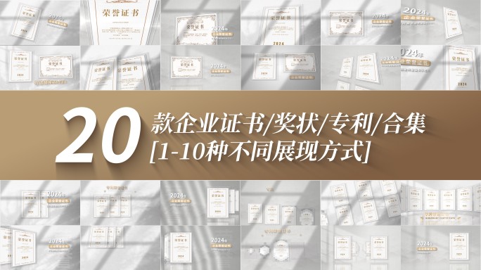 20+款简洁企业荣誉证书AE包装