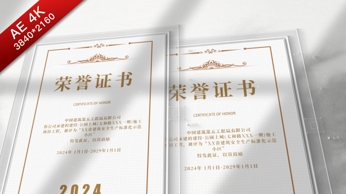 20+款简洁企业荣誉证书AE包装