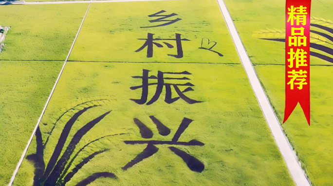 乡村振兴 稻田画 美丽乡村 秋收