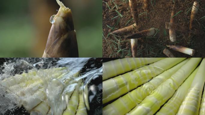 竹笋高速慢动作