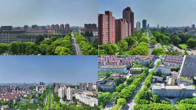 闵行区政府