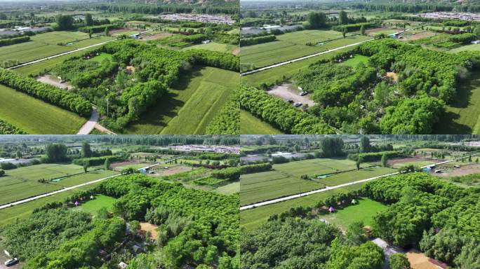 城中村发展高桥素材视频