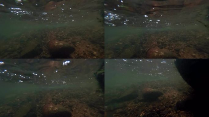 泉水水下视角暗流涌动