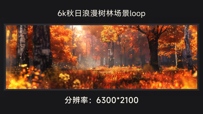 6k秋日浪漫树林场景loop